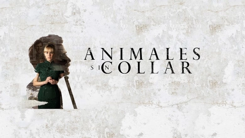 فيلم Animales sin collar 2018 مترجم HD