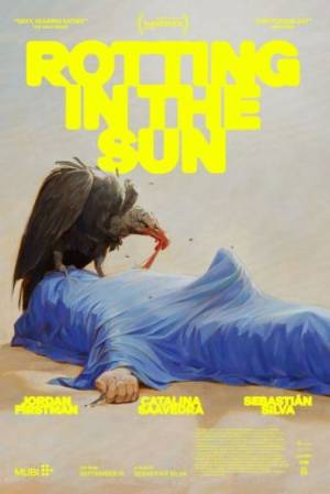 فيلم Rotting in the Sun 2023 مترجم HD