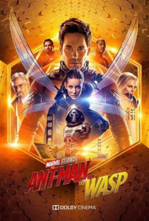 فيلم Ant Man and the Wasp 2018 مترجم HD
