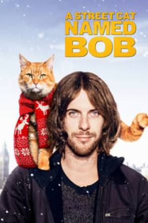 فيلم A Street Cat Named Bob 2016 مترجم HD
