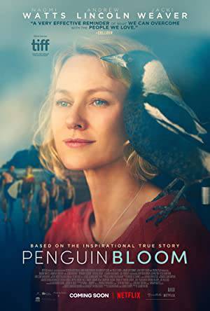 فيلم Penguin Bloom 2020 مترجم HD